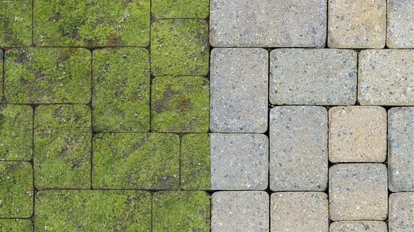 Groene aanslag.jpg Array