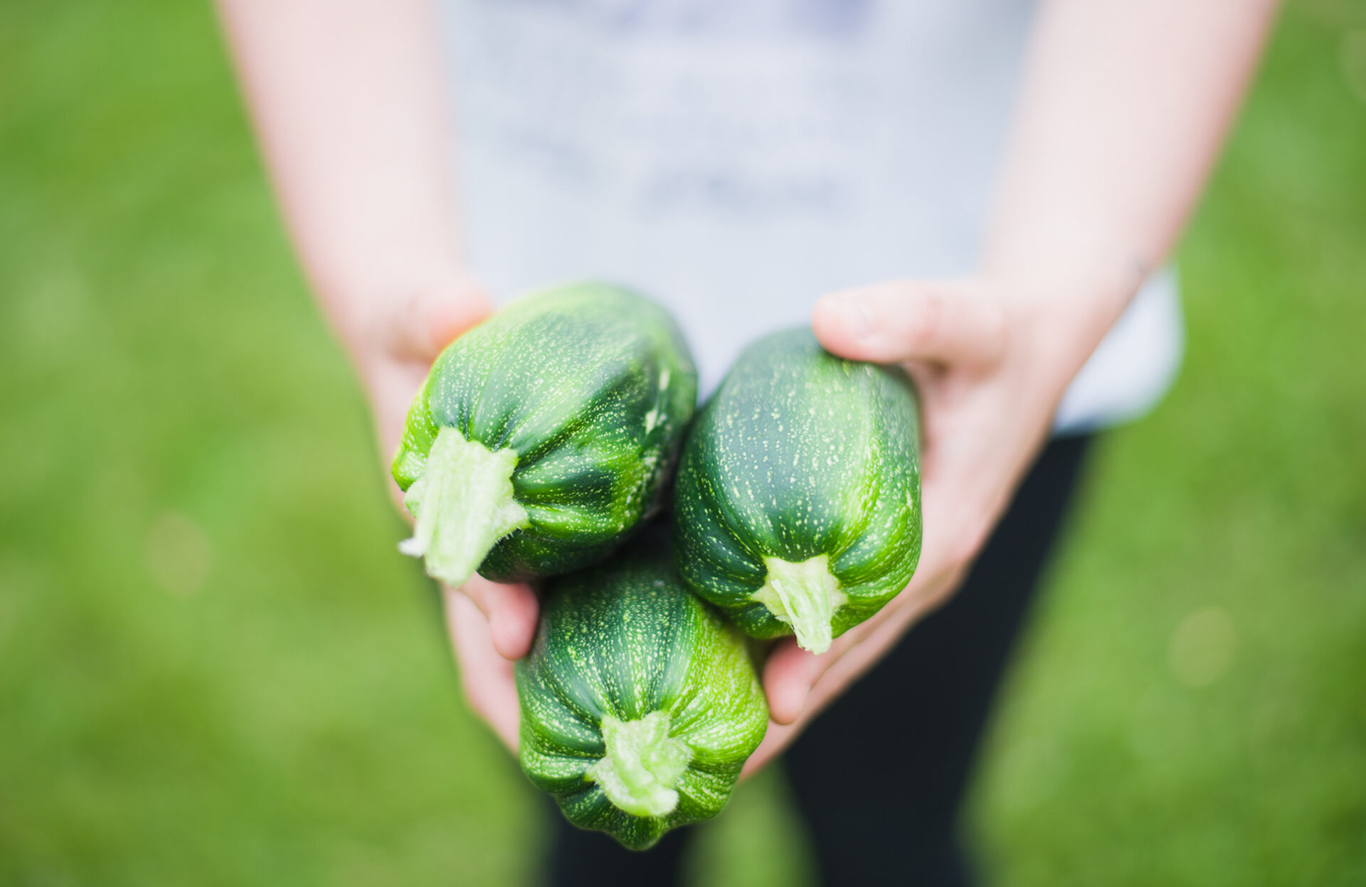10 groenten die je ook in een pot kunt - Pokon - Groen doet goed