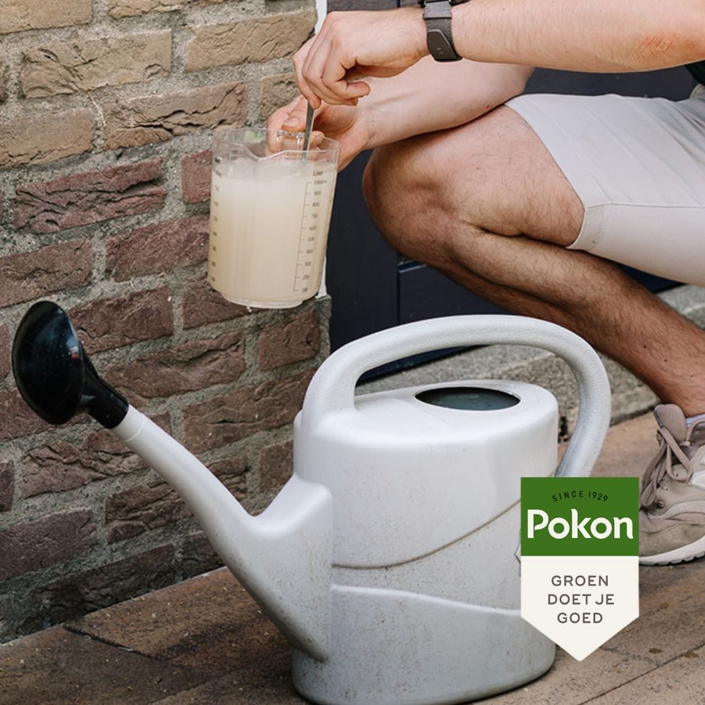 Aaltjes tegen emelten